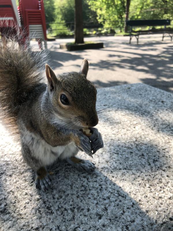 Asiya uploaded   356  day/s  ago