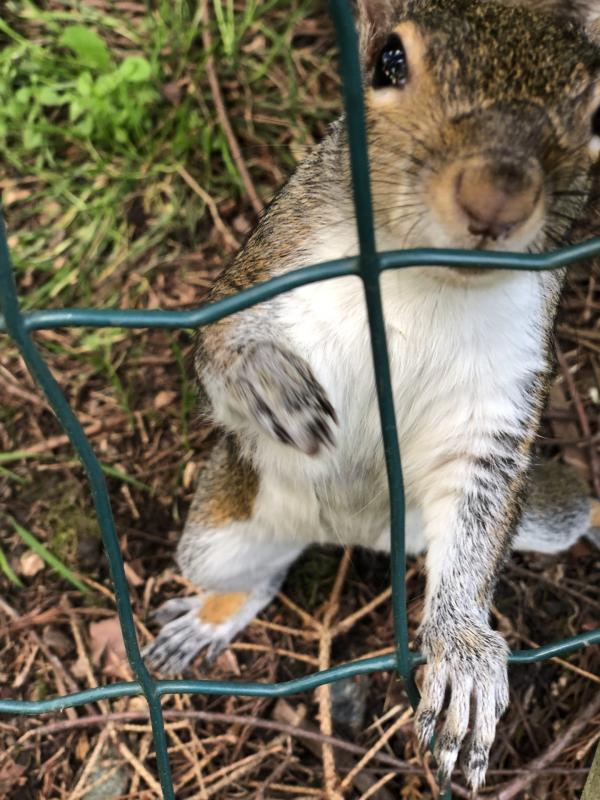 Asiya uploaded   321  day/s  ago