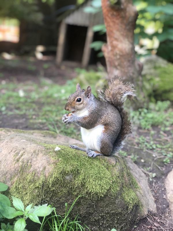 Asiya uploaded   321  day/s  ago