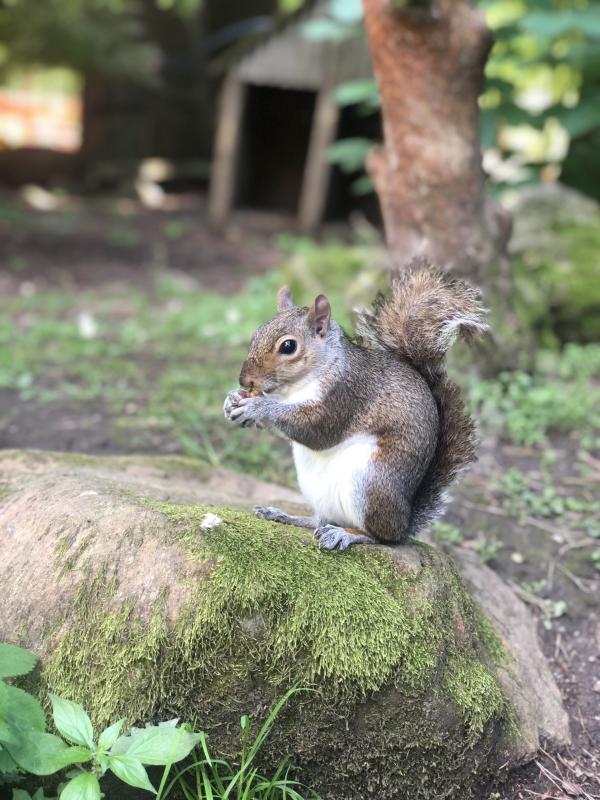 Asiya uploaded   245  day/s  ago