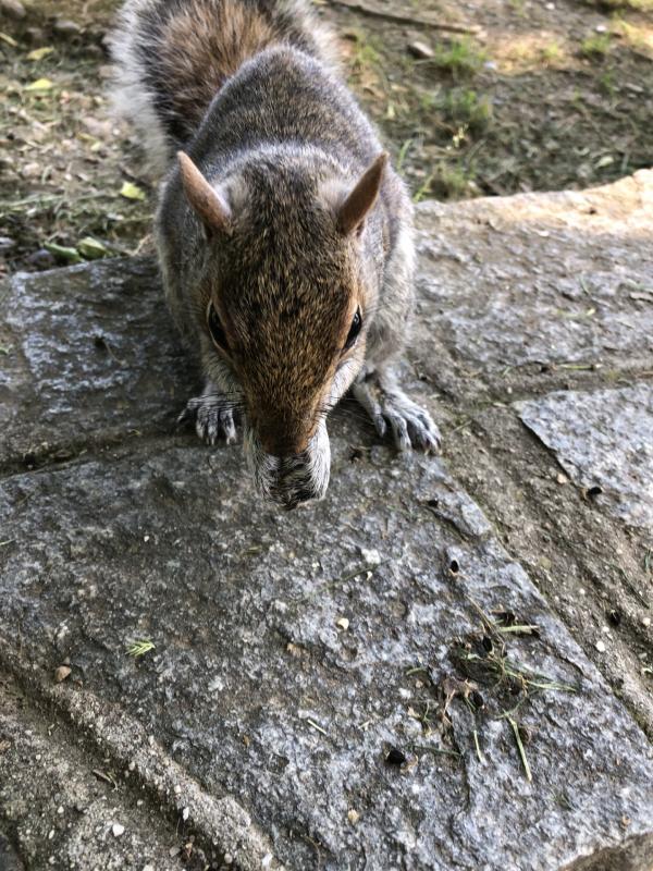 Asiya uploaded   329  day/s  ago