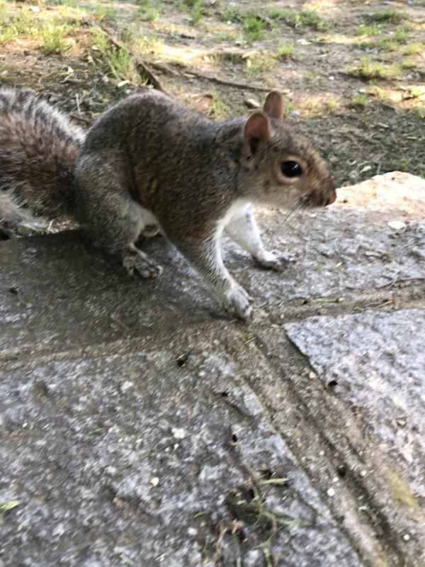 Asiya uploaded   329  day/s  ago