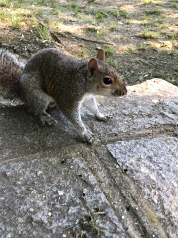 Asiya uploaded   329  day/s  ago