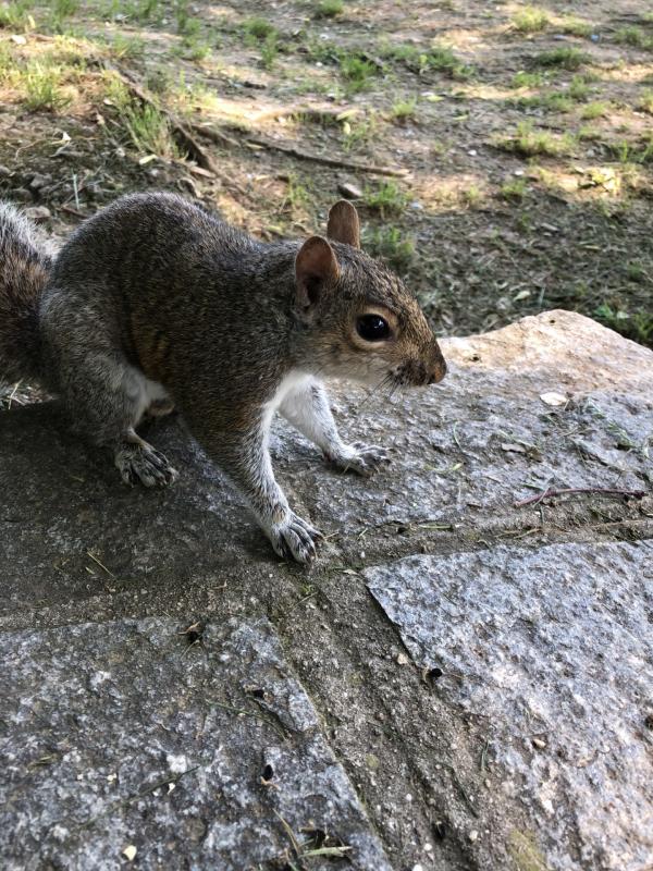 Asiya uploaded   329  day/s  ago