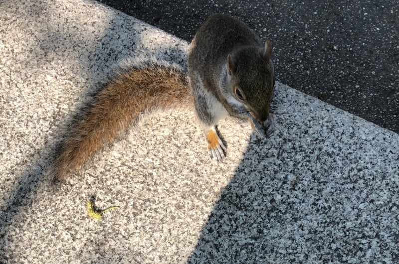 Asiya uploaded   362  day/s  ago