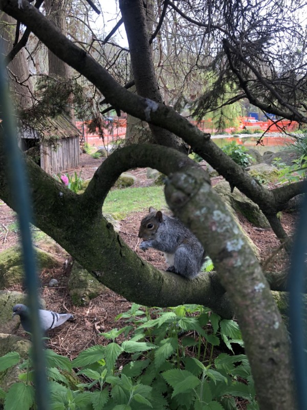 Asiya uploaded   1 year/s ago