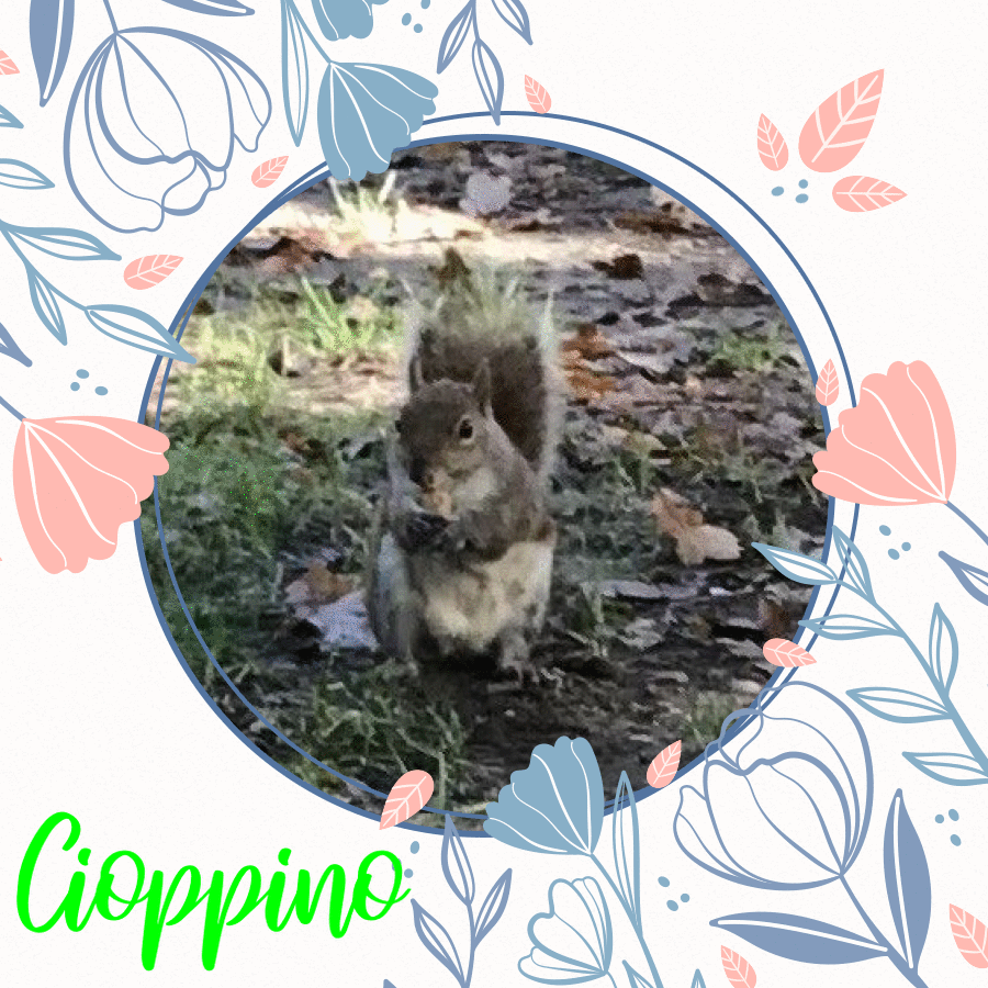 Asiya uploaded   55  day/s  ago