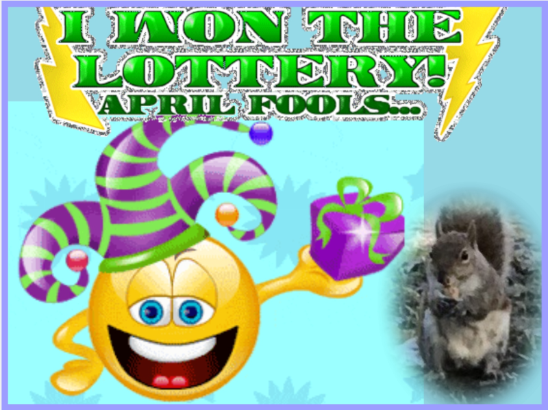 Asiya uploaded   12  day/s  ago