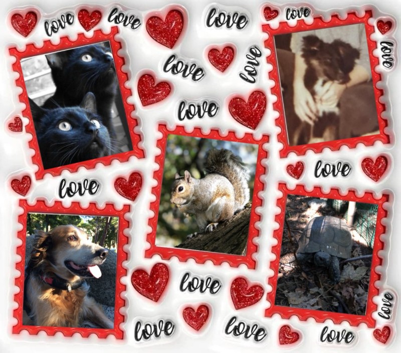 Cioppino of the Asiya family