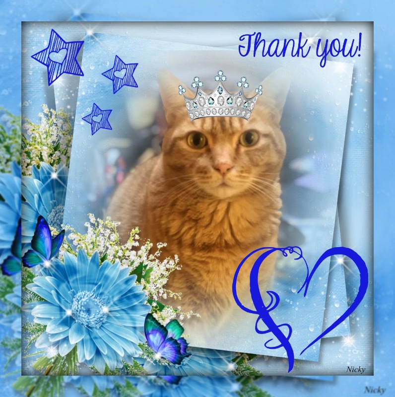 Asiya uploaded   83  day/s  ago