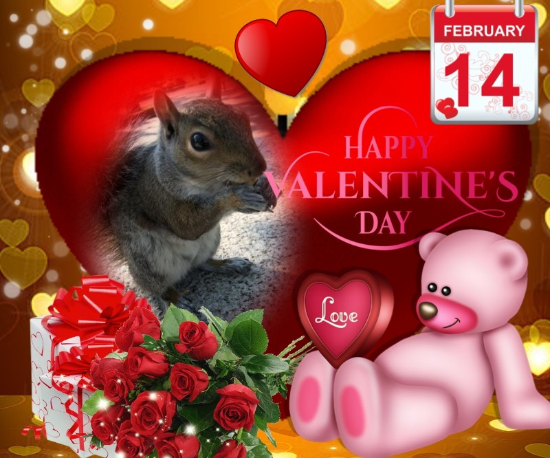 Cioppino of the Asiya family