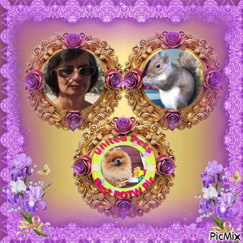 Cioppino of the Asiya family