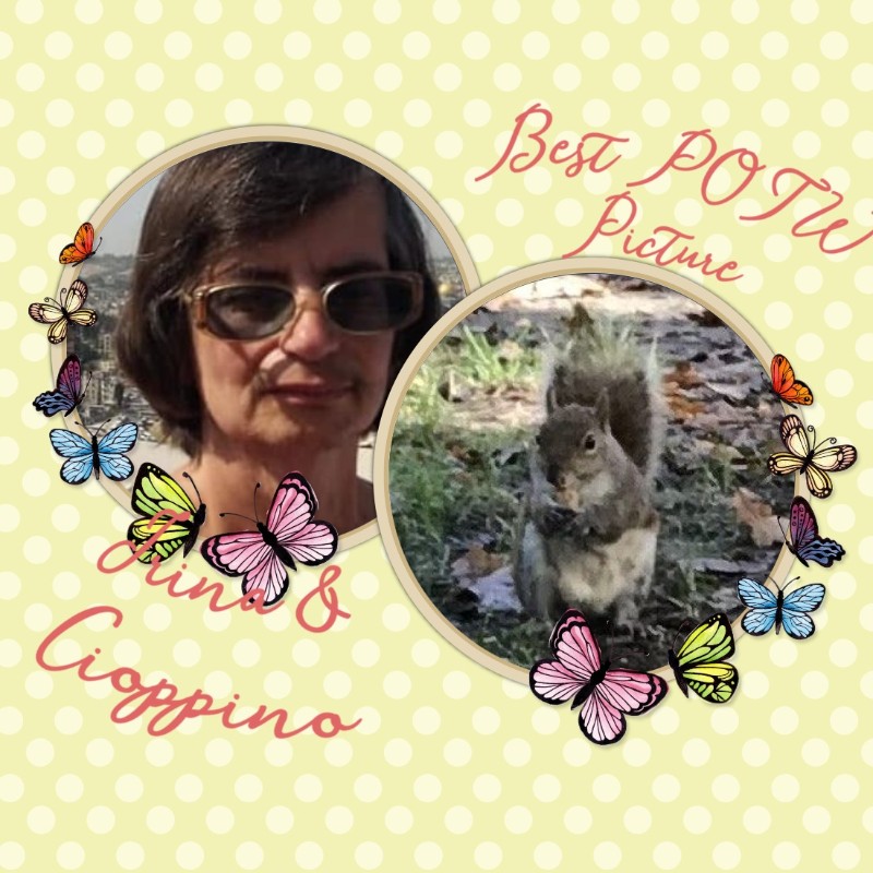 Cioppino of the Asiya family