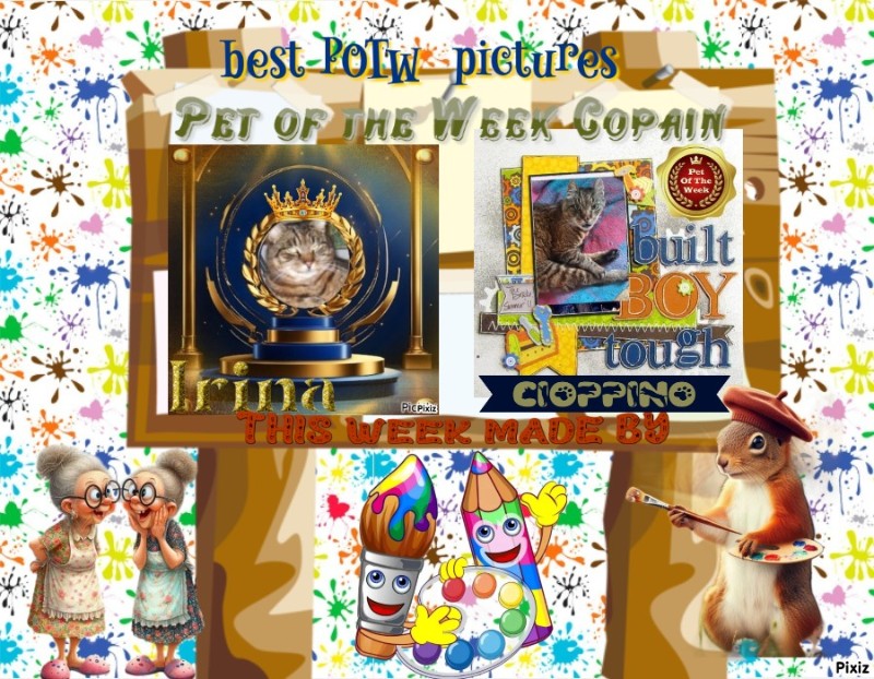 Asiya uploaded   10  day/s  ago