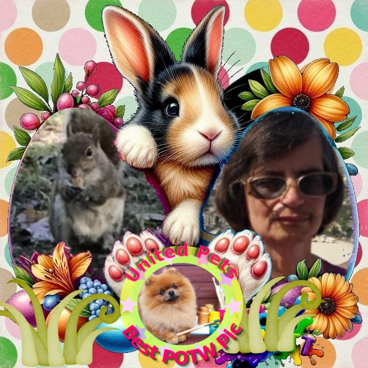 Cioppino of the Asiya family