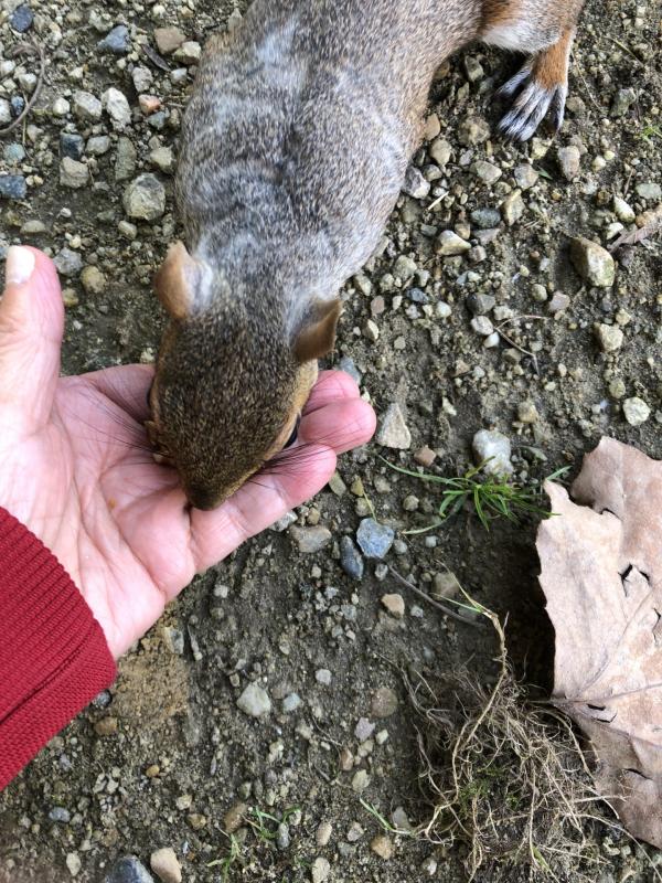 Asiya uploaded   194  day/s  ago