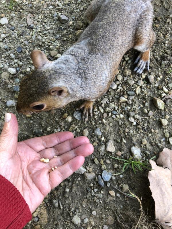 Asiya uploaded   194  day/s  ago