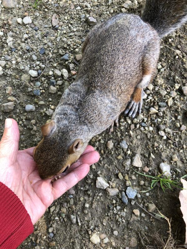 Asiya uploaded   192  day/s  ago