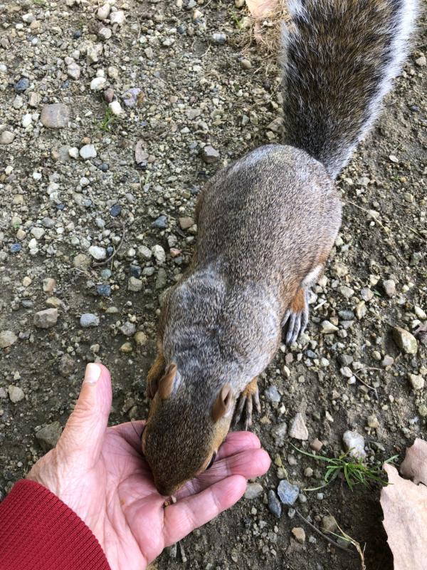 Asiya uploaded   192  day/s  ago