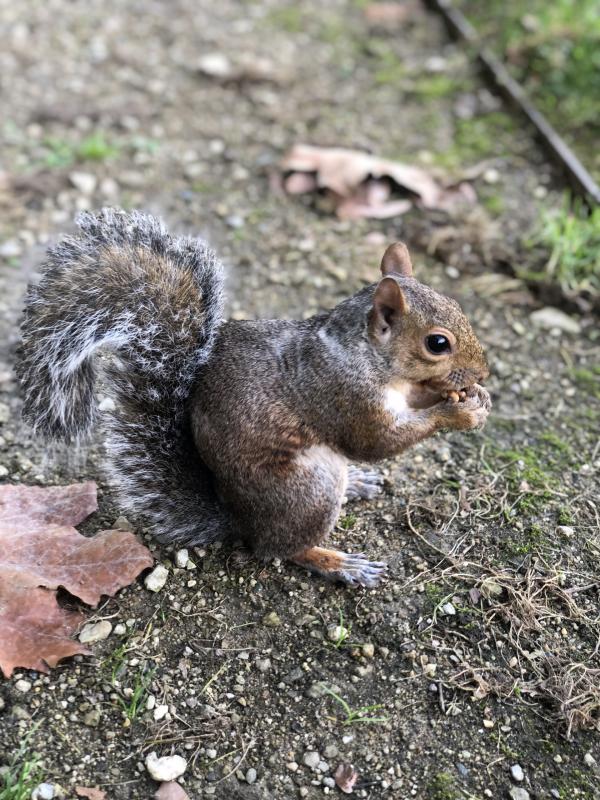 Asiya uploaded   182  day/s  ago