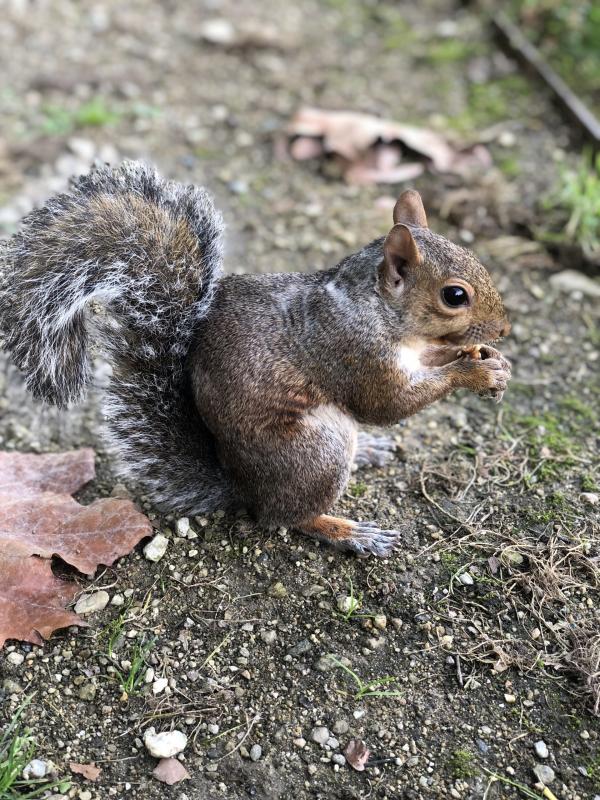 Asiya uploaded   182  day/s  ago