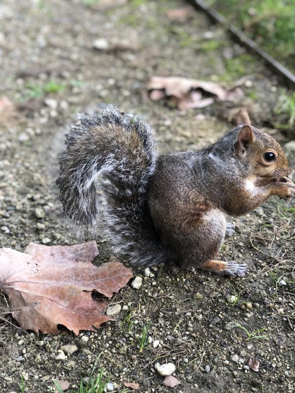 Asiya uploaded   175  day/s  ago