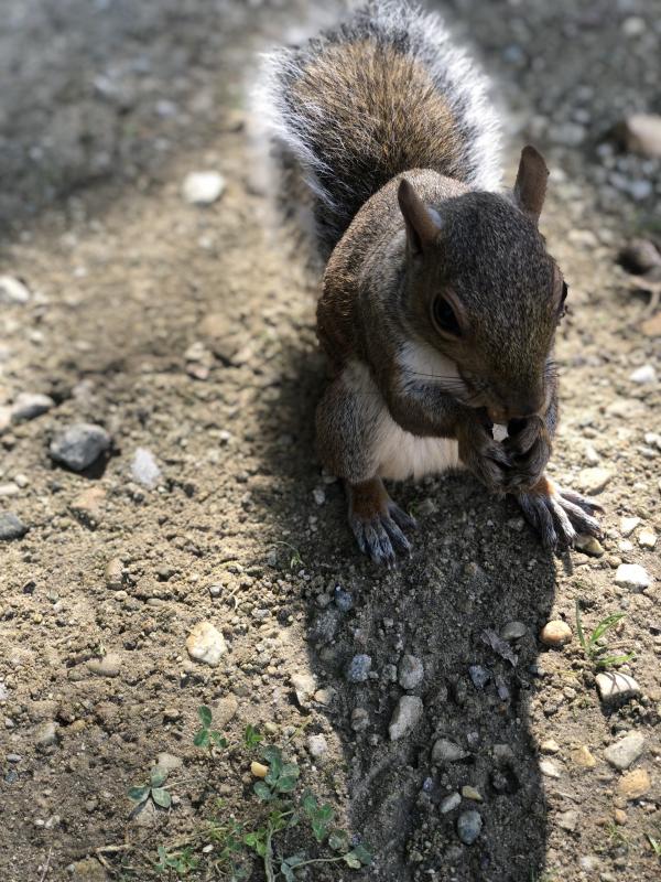 Asiya uploaded   175  day/s  ago