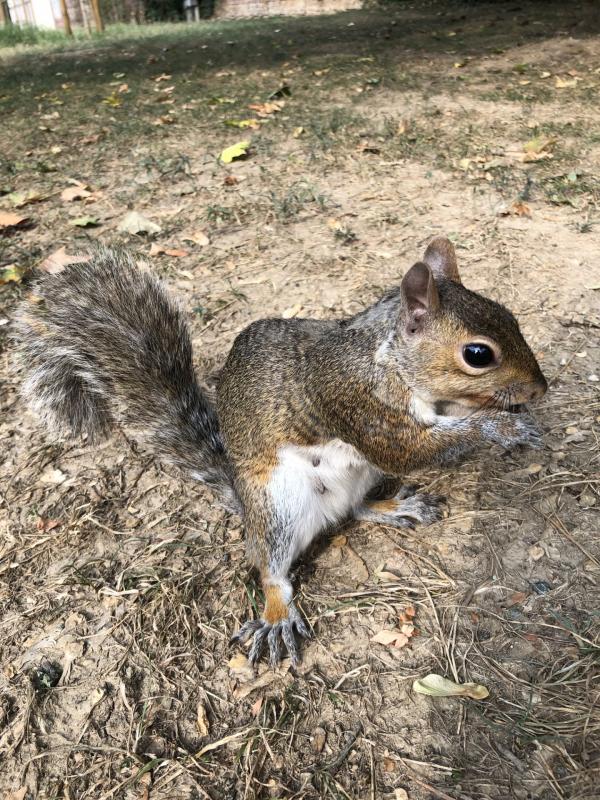 Asiya uploaded   197  day/s  ago