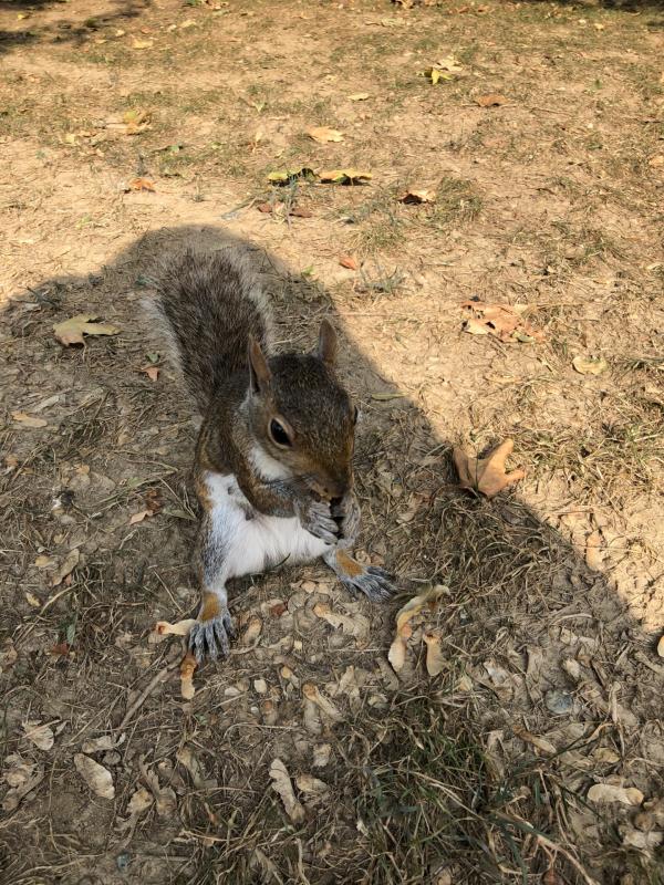 Asiya uploaded   197  day/s  ago