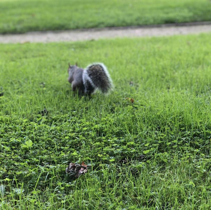 Asiya uploaded   159  day/s  ago