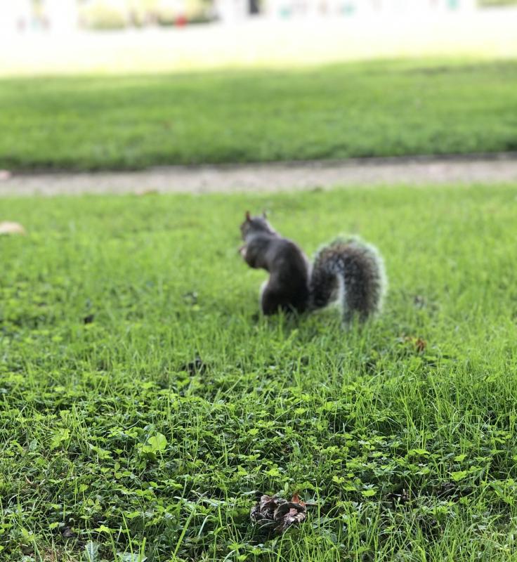 Asiya uploaded   159  day/s  ago