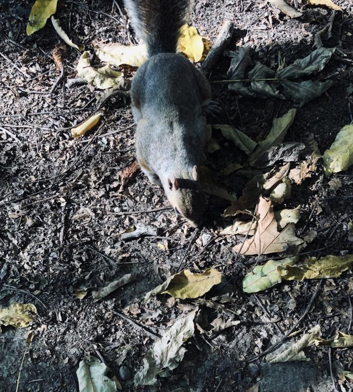 Asiya uploaded   158  day/s  ago