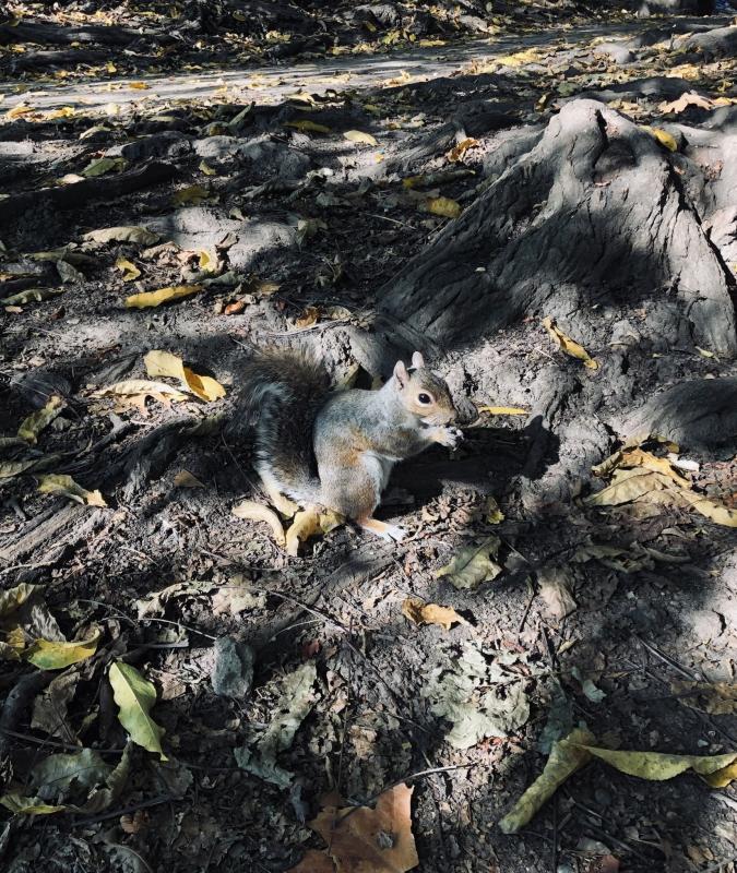 Asiya uploaded   158  day/s  ago