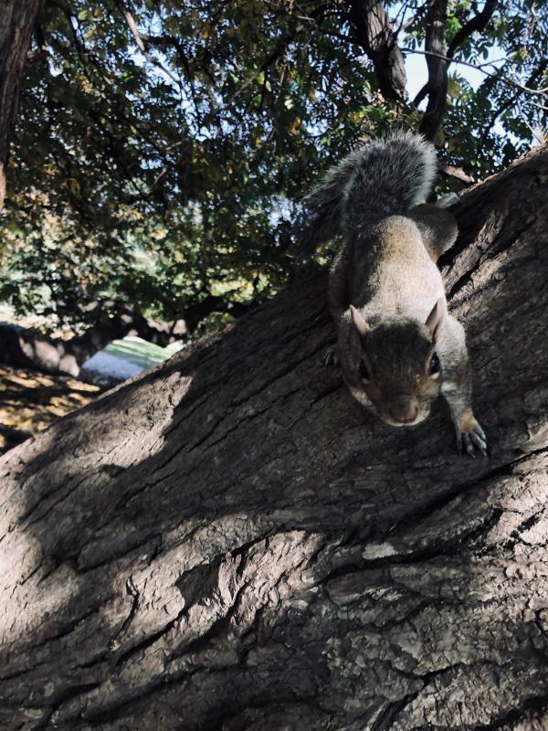 Asiya uploaded   156  day/s  ago