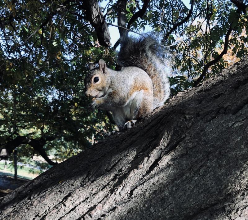 Asiya uploaded   156  day/s  ago