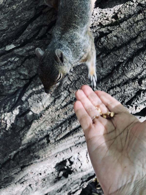 Asiya uploaded   156  day/s  ago