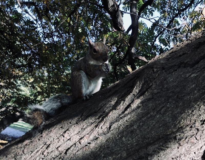 Asiya uploaded   156  day/s  ago