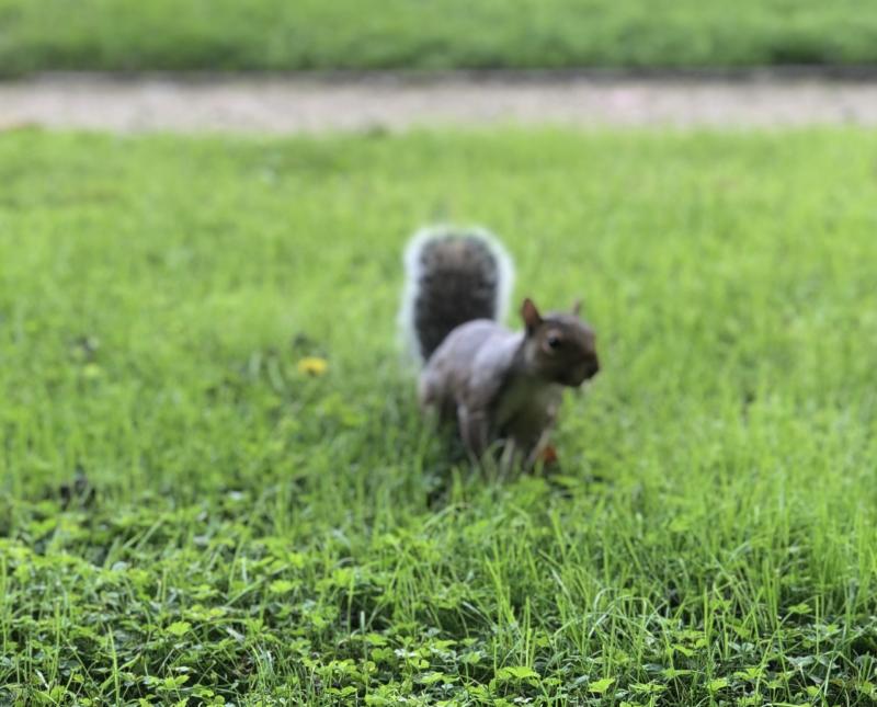 Asiya uploaded   149  day/s  ago