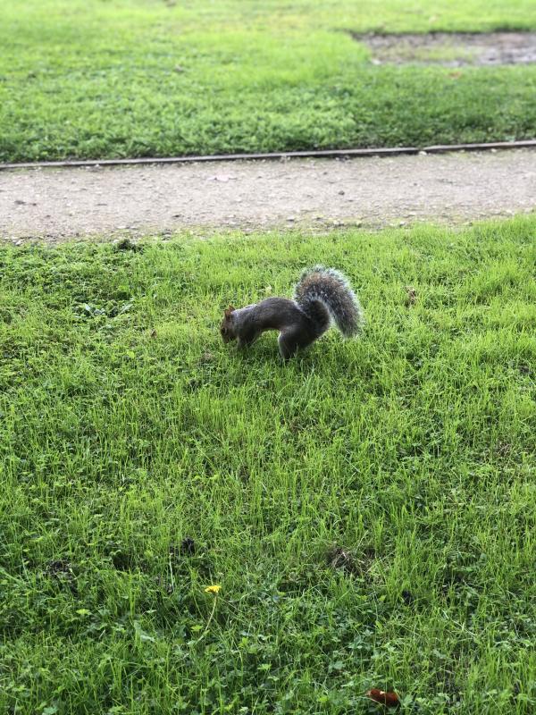 Asiya uploaded   149  day/s  ago