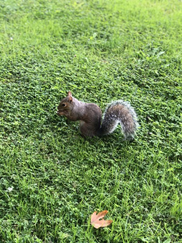 Asiya uploaded   149  day/s  ago