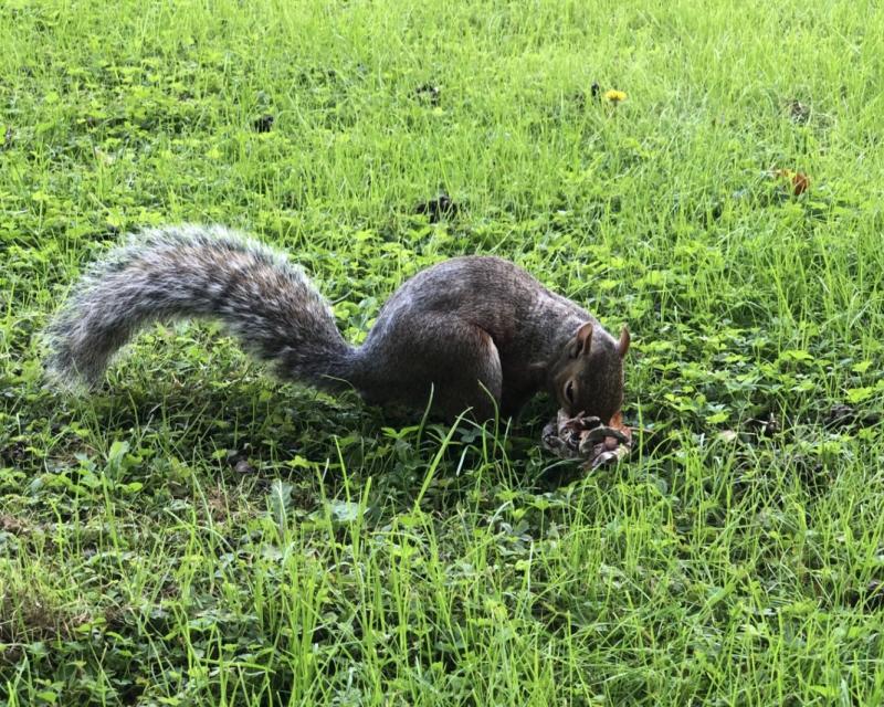 Asiya uploaded   170  day/s  ago