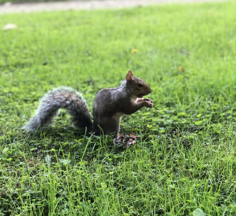 Asiya uploaded   98  day/s  ago