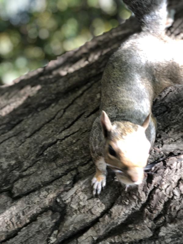 Asiya uploaded   117  day/s  ago