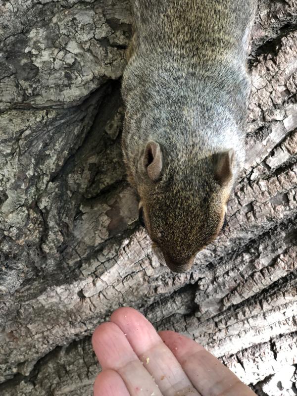 Asiya uploaded   141  day/s  ago