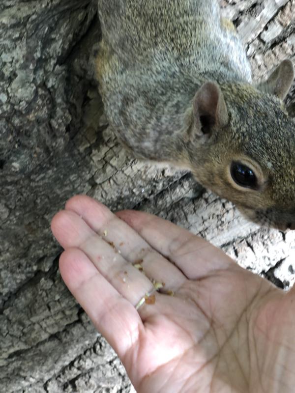 Asiya uploaded   141  day/s  ago