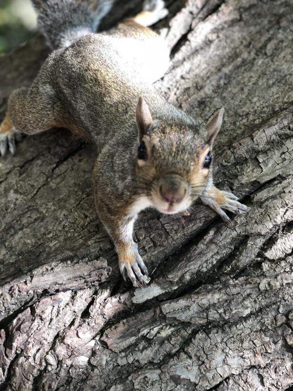 Asiya uploaded   141  day/s  ago