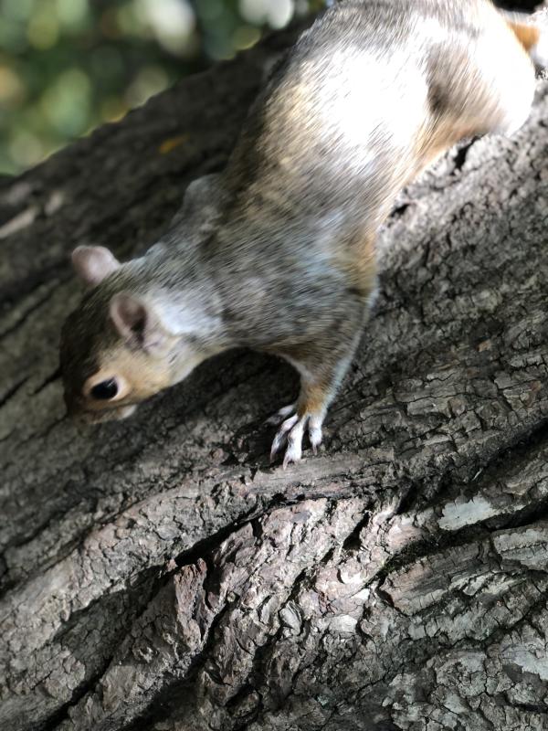 Asiya uploaded   137  day/s  ago