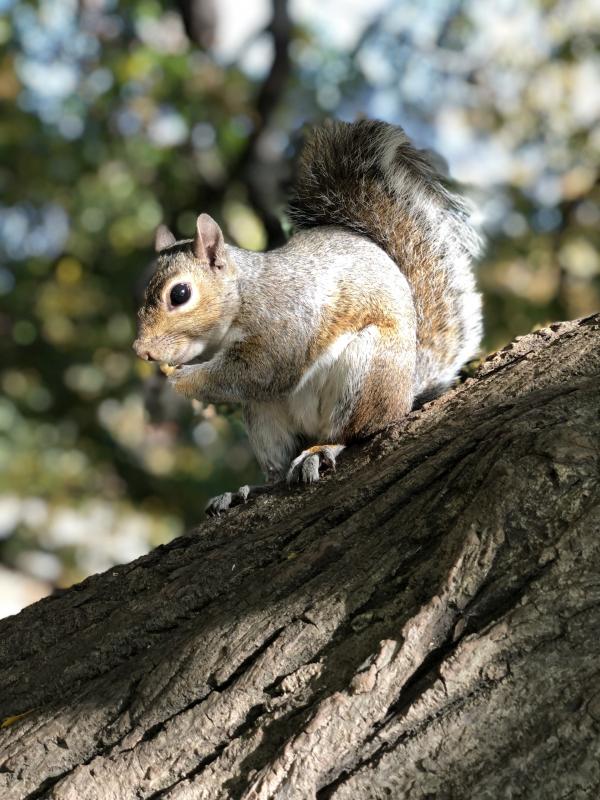 Asiya uploaded   137  day/s  ago