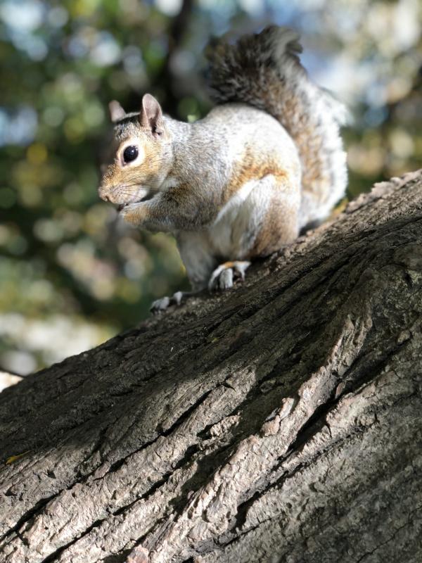 Asiya uploaded   137  day/s  ago