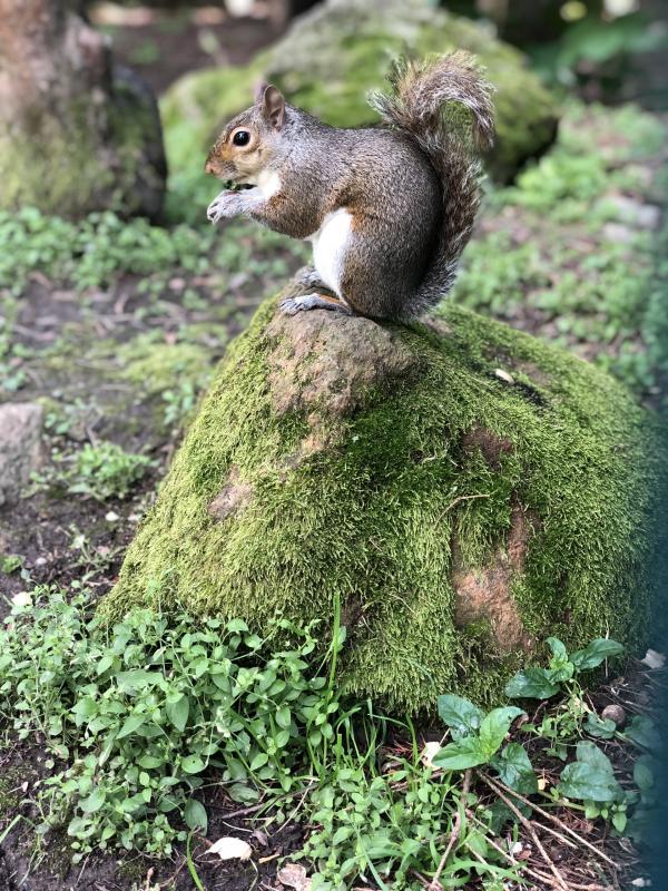 Asiya uploaded   312  day/s  ago